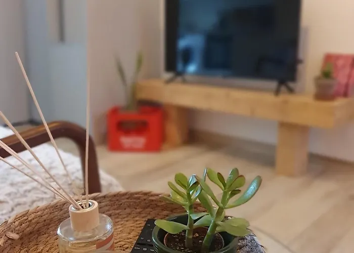 Apartment Cosy Idealement Situe Parking Prive